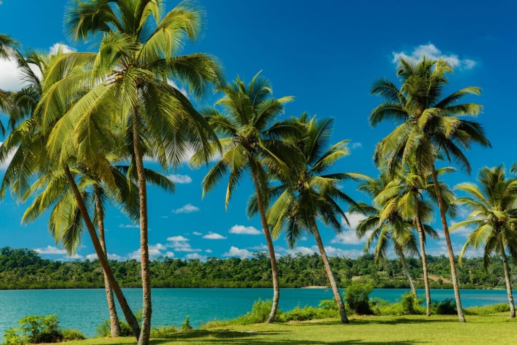 Vanuatu fast citizenship and tax-free lifestyle in 2026